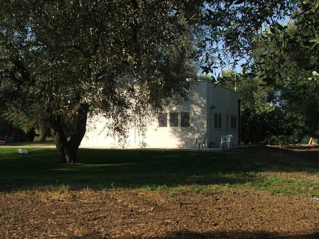 B&B Finestre Tra Gli Ulivi Mesagne Room photo